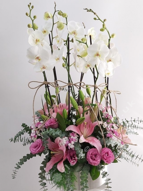 Six Stemmed White Orchid Arrangement
