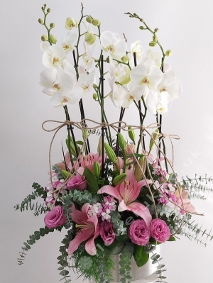 Six Stemmed White Orchid Arrangement