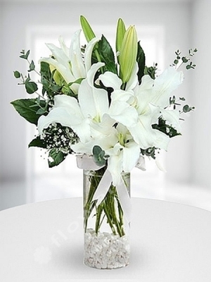 White Lilies In Vase